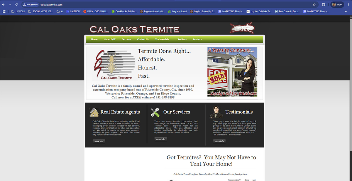 pest-control-local-seo-murrieta-california-old-website-before-photo-for-case-study-success-blog-post
